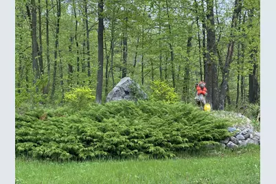 Lot 17 Bear Tract Lane NE, Longville, MN 56655 - Photo 1