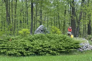 Lot 17 Bear Tract Ln NE, Longville, MN 56655 - Photo 1