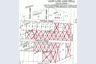 133 Partridge Street, Audubon, MN 56511 - Photo 15