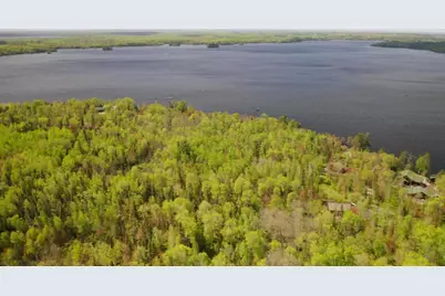 Parcel A S Niles Bay Forest Road, Orr, MN 55771 - Photo 5