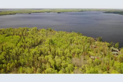 Parcel B S Niles Bay Forest Road, Orr, MN 55771 - Photo 5