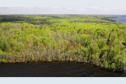 Parcel B S Niles Bay Forest Road, Orr, MN 55771 - Photo 3