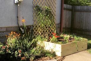 624 Nevada Ave E - Photo 25