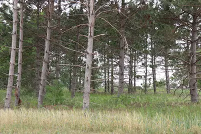 1957 Long Pine Drive, Detroit Lakes, MN 56501 - Photo 9