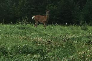 5659 County Rd 34 NW - Photo 3