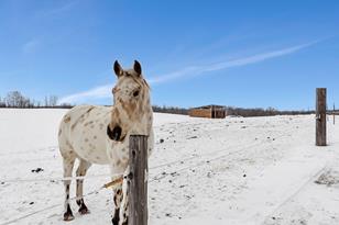 5659 County Rd 34 NW - Photo 67