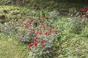 12830 April Ln - Photo 25