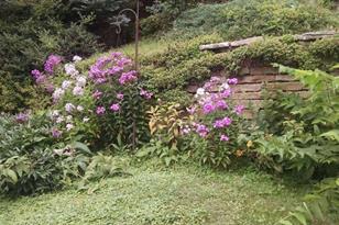 12830 April Ln - Photo 27