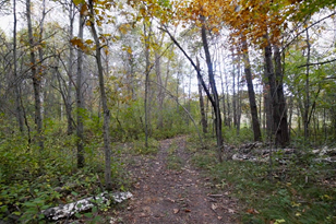 31127 101st St Nw, Princeton, MN 55371