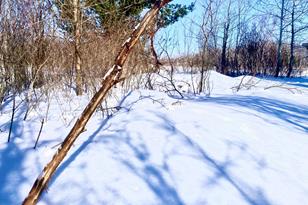 8647 190th St - Photo 9