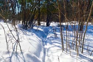 8647 190th St - Photo 11