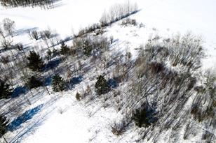 8647 190th St - Photo 3