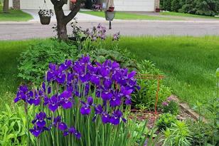 1253 Edgehill Ct - Photo 33