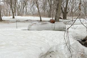 31054 655th Ave - Photo 17