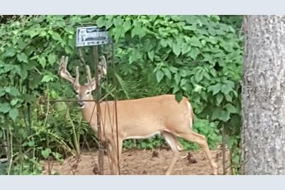 2841 Carver Park Circle, Woodbury, MN 55125 - Photo 33