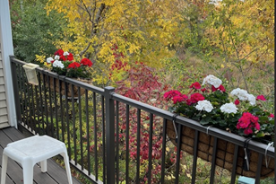 13913 Ventura Pl, Prior Lake, MN 55378-5635