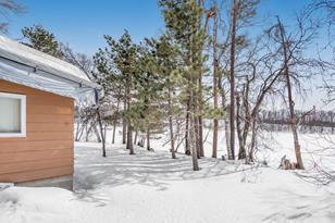 11405 Wood Ln - Photo 9