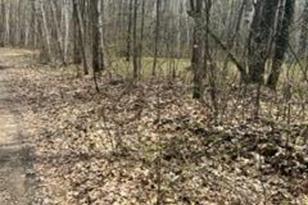 Xxx Opal Ln, Cushing Township, MN 56443 - Photo 1