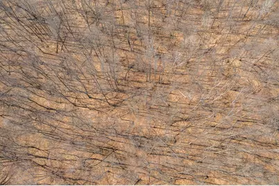 Tbd Gregory Drive SW, Sylvan Twp, MN 56473 - Photo 9