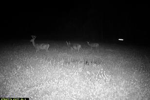 50143 State Hwy 11 - Photo 61