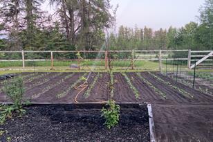 50143 State Hwy 11 - Photo 43