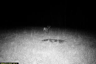 50143 State Hwy 11 - Photo 63