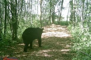 50143 State Hwy 11 - Photo 69