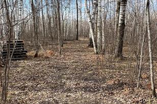 50143 State Hwy 11 - Photo 55