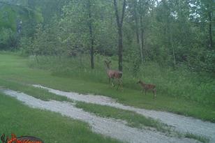 50143 State Hwy 11 - Photo 65