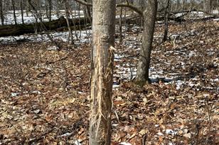 27818 County 29 - Photo 49