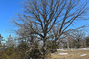 27818 County 29 - Photo 43