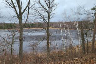 38257 Dove St, Spencer Twp, MN 56431 - Photo 59