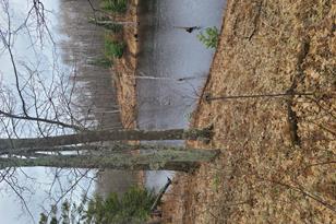 38257 Dove St, Spencer Twp, MN 56431 - Photo 51