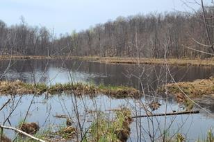 38257 Dove St, Spencer Twp, MN 56431 - Photo 63