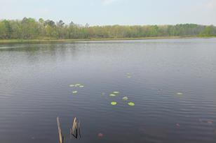 38257 Dove St, Spencer Twp, MN 56431 - Photo 7