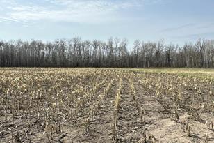 4283 County Hwy 29 - Photo 19