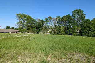 Tbd Lake Chapeau Dr, Albert Lea, MN 56007 - Photo 1