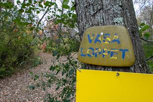 2352 Jade St - Photo 57