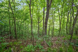 38171 Mica Ave - Photo 41