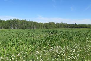 3007 59th St SE - Photo 27