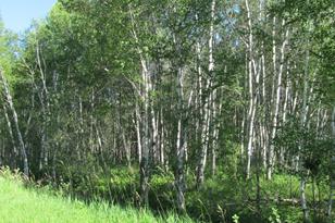 3007 59th St SE - Photo 55