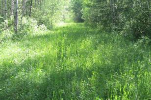 3007 59th St SE - Photo 59