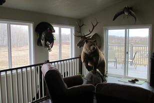 3007 59th St SE - Photo 9