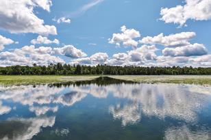 24079 Beach Trail - Photo 17