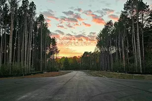 Lot 3 Dahlia Ct, Isanti, MN 55040 - Photo 1