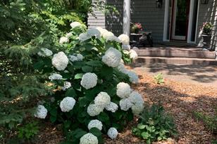 841 Great Oaks Trail - Photo 69