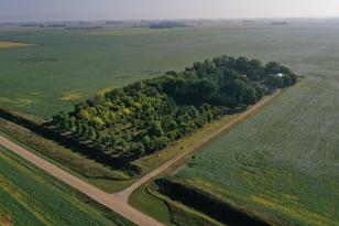 12445 180th St SE - Photo 71