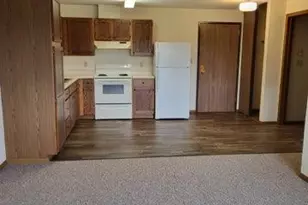 1145 Friberg Ave, Fergus Falls, MN 56537 - Photo 7