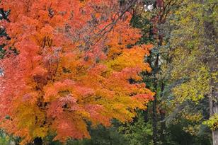 1009 Quail St - Photo 7