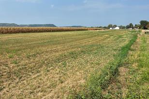 1608 River Dr S, Wabasha, MN 55981 - Photo 1